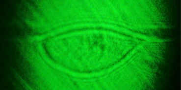 Beitragsbild für (Konfokale) Raman-Mikrospektroskopie zur Untersuchung von Kunststoffen und Kunststoffschweißnähten