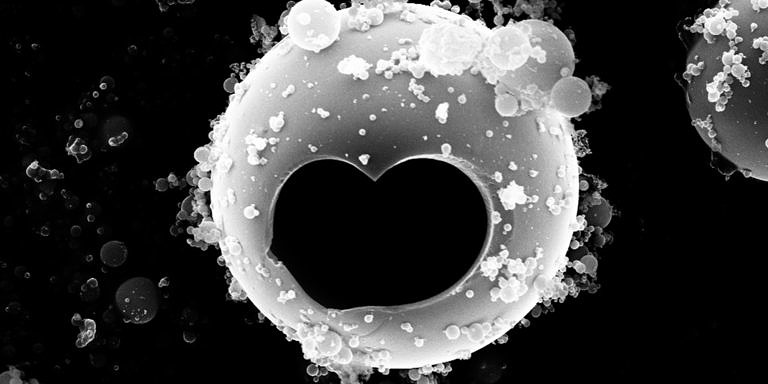 Beitragsbild für Forschungsschwerpunkte