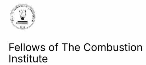 Zum Artikel "Stefan Will zum Fellow des Combustion Insitute ernannt"