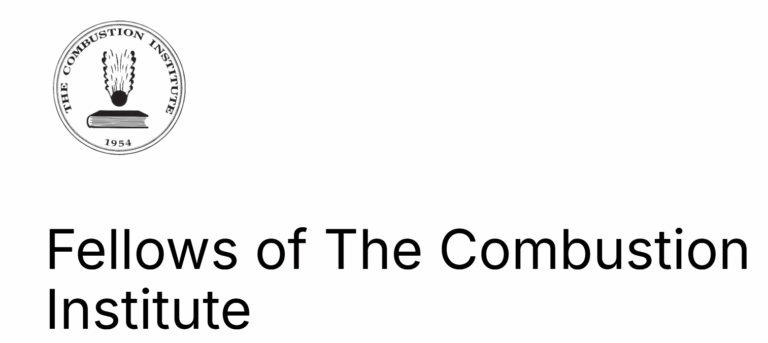 Stefan Will zum Fellow des Combustion Insitute ernannt